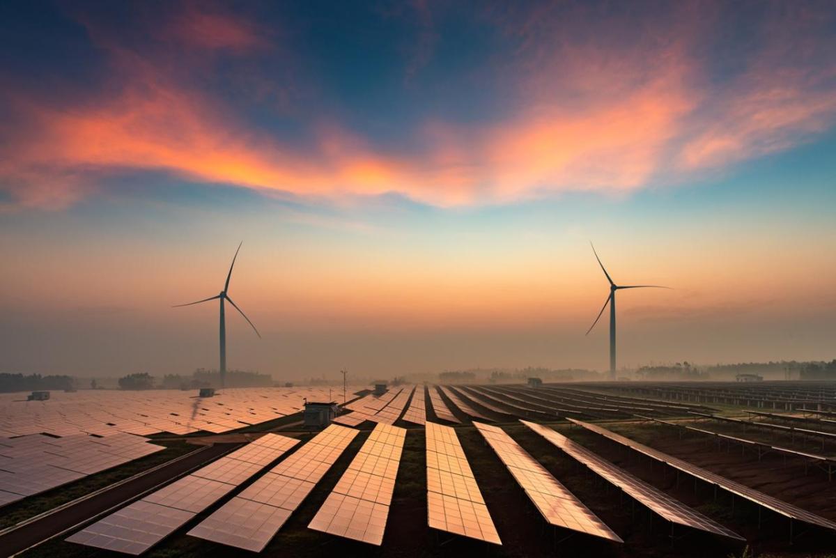 Renewable Energy Adoption