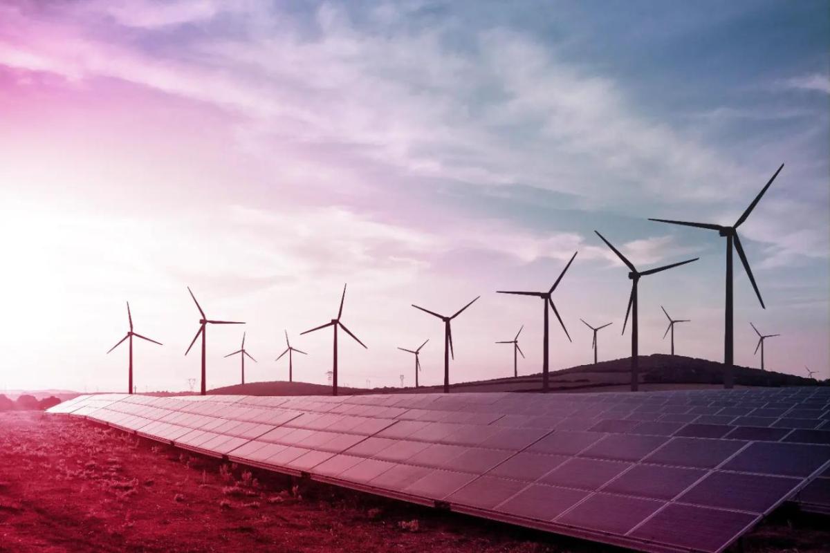 A long row of solar panels, rows of wind turbines in the background.