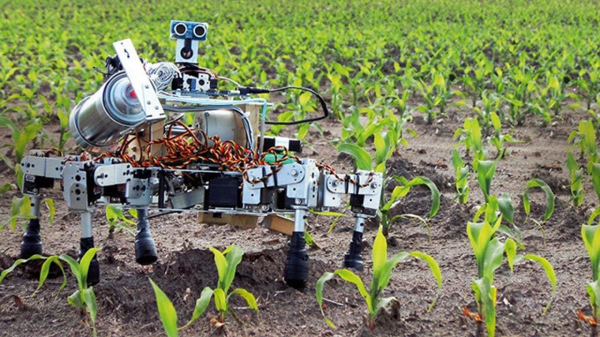 agriculture robot