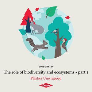 "The role of biodiversity and ecosystems - part 1" with image of forest