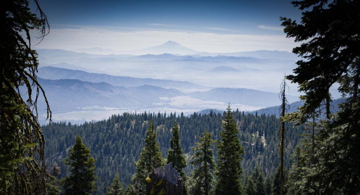 Scotts River Valley, CA