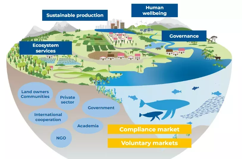 Activities under the SLA should fall under one of four pillars (top), are generally supported by various stakeholders (bottom-left), and can obtain financing through environmental markets (bottom-right).