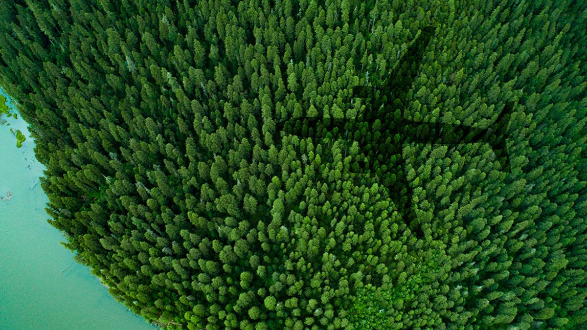 The shadow of a plane above a forested area.