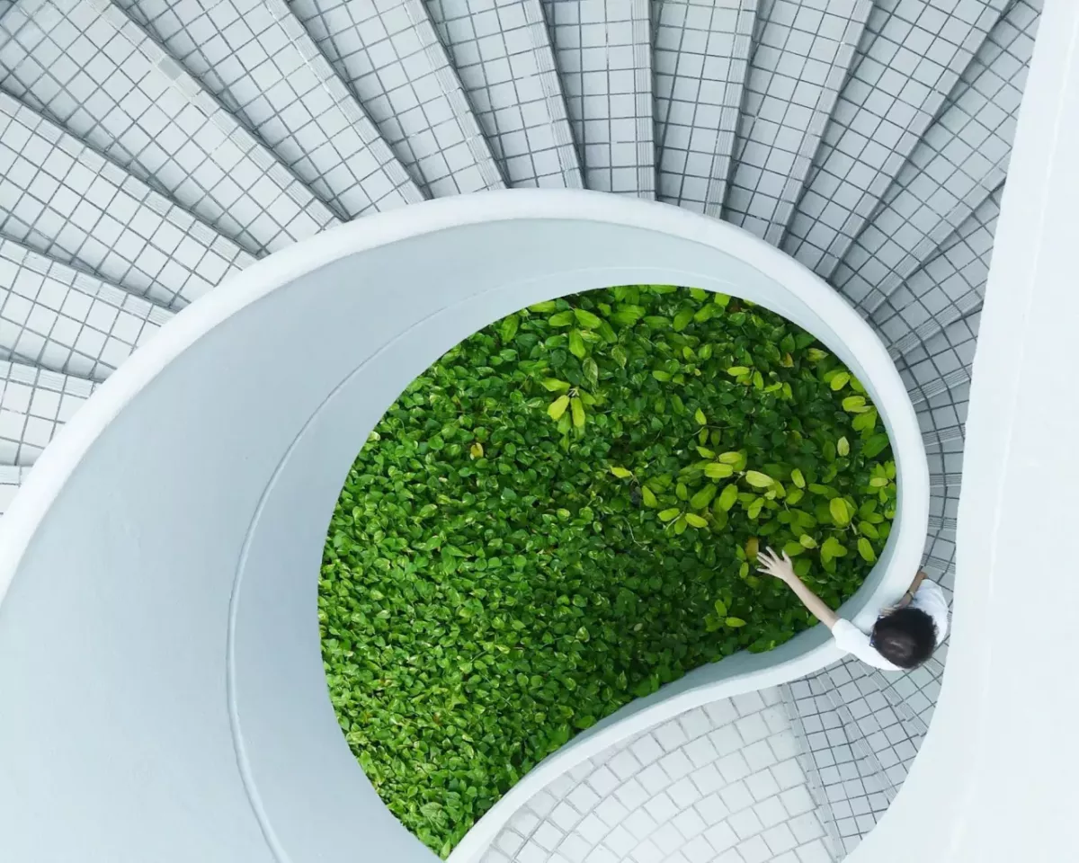 A hand reaching over a central area of greenery in a white spiral staircase.