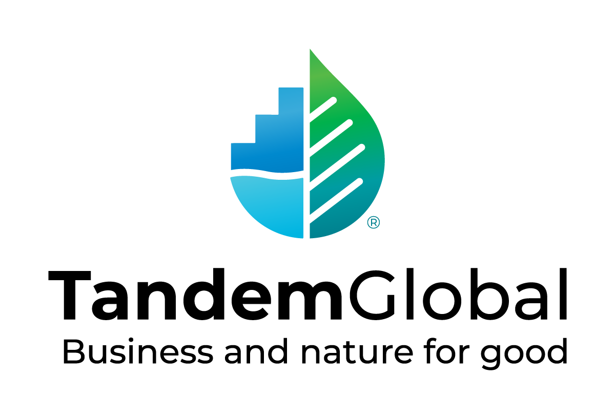 Tandem Global logo