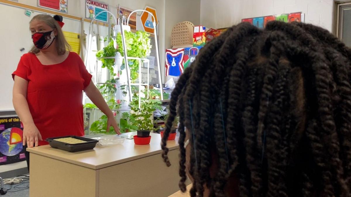 Cossey prepares a STEM lesson for her classroom using the tower garden. 