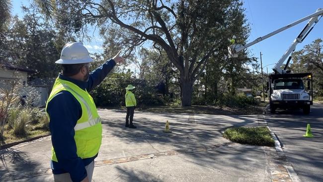 A person in a high vis vest and hardhat pointing to a tree being trimmed by someone in a cherrypicker, while someone else looks on