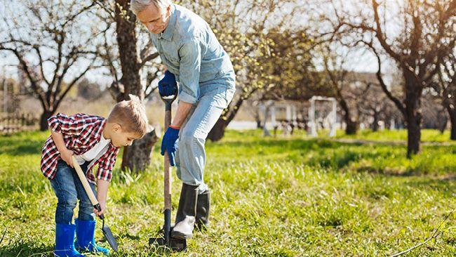 An adult and child digging holes in an orchard