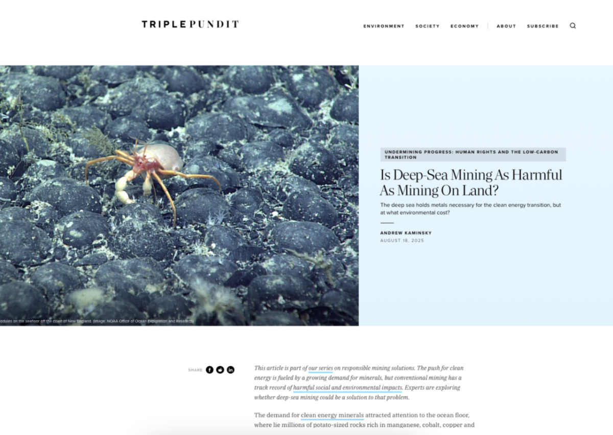 Screenshot of TriplePundit site