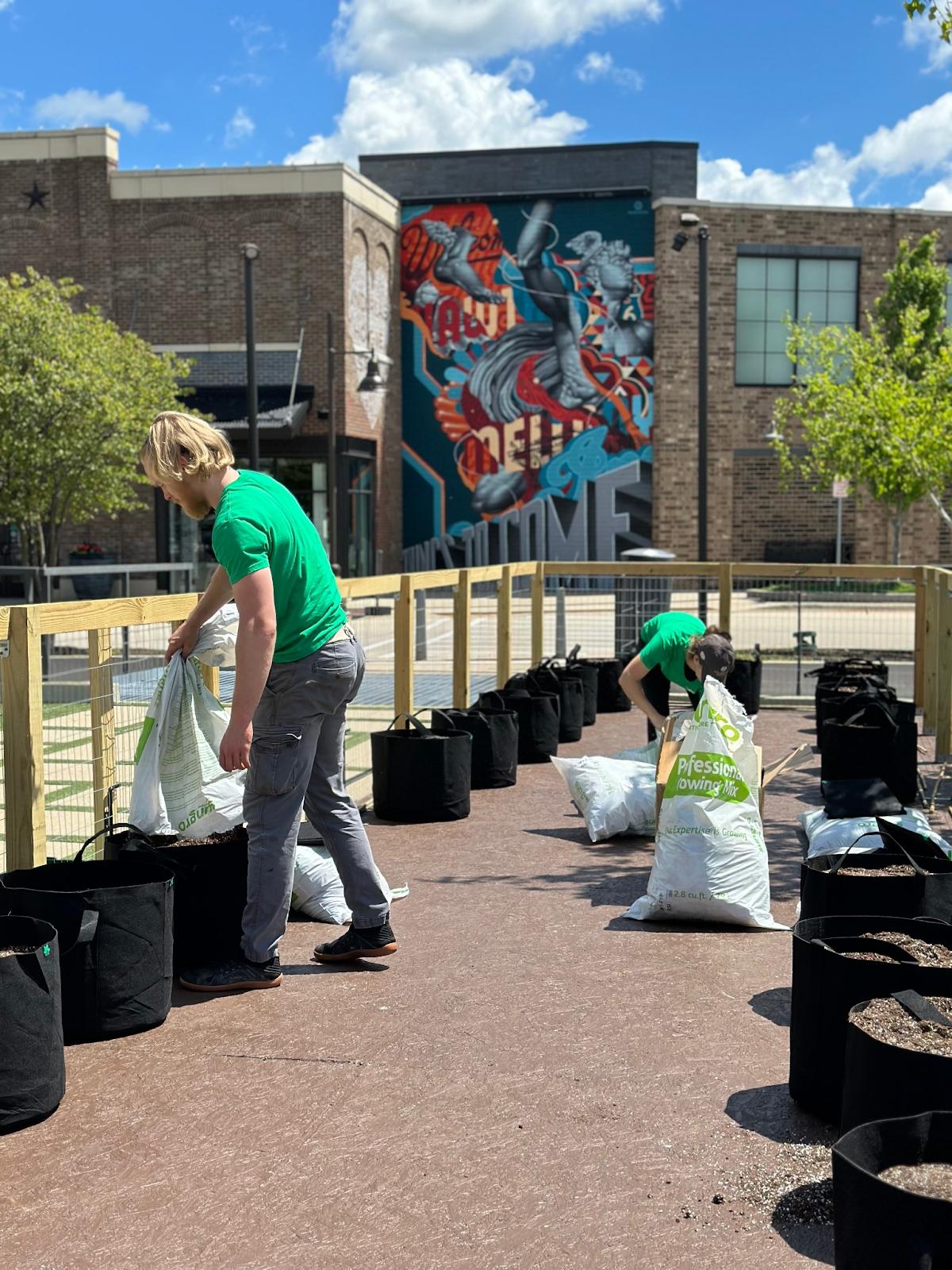 People filling fabric pots with soil in a fenced off area.