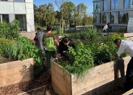 People gardening 