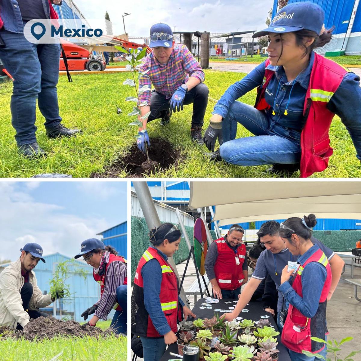 volunteers in Mexico