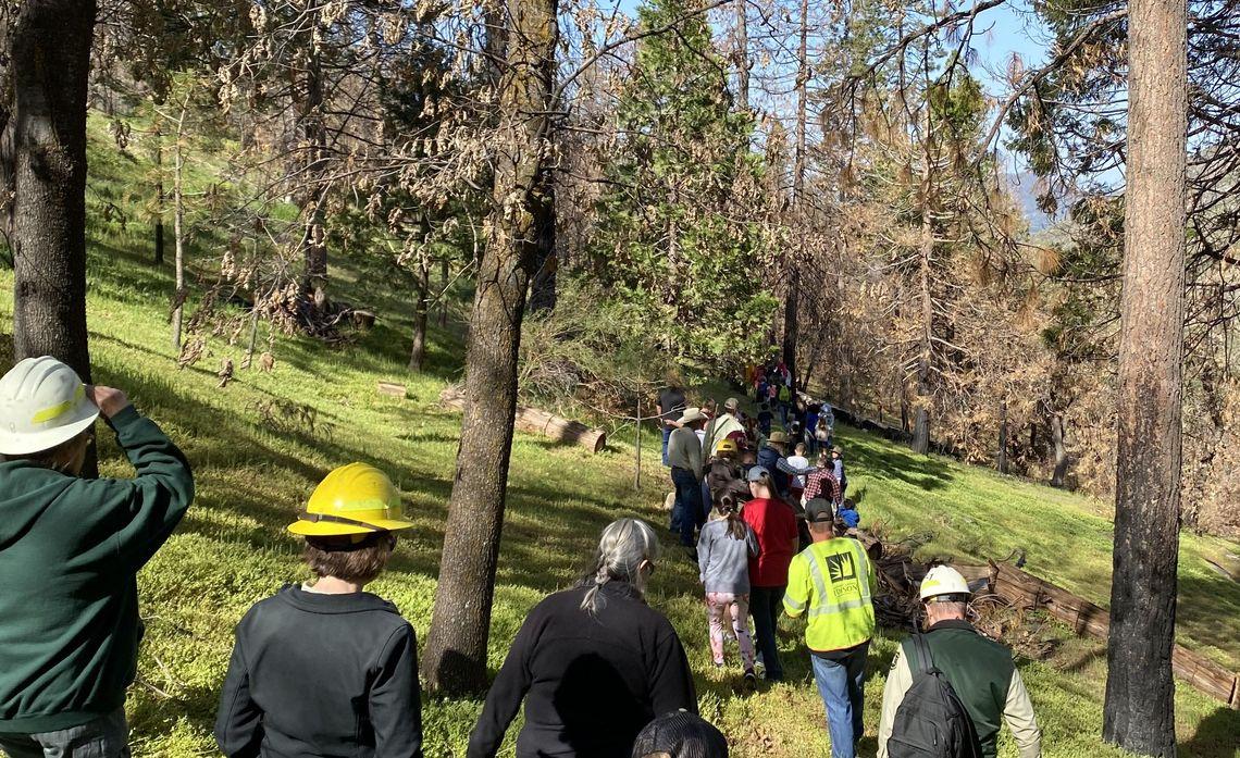 a group of volunteers wearing hard hats walk through a forest