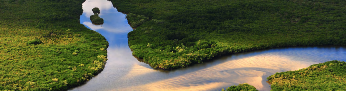 Aerial view of a waterway in a wild area.