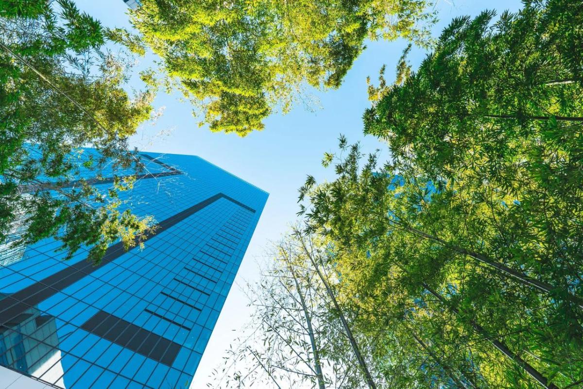 skyscrapers