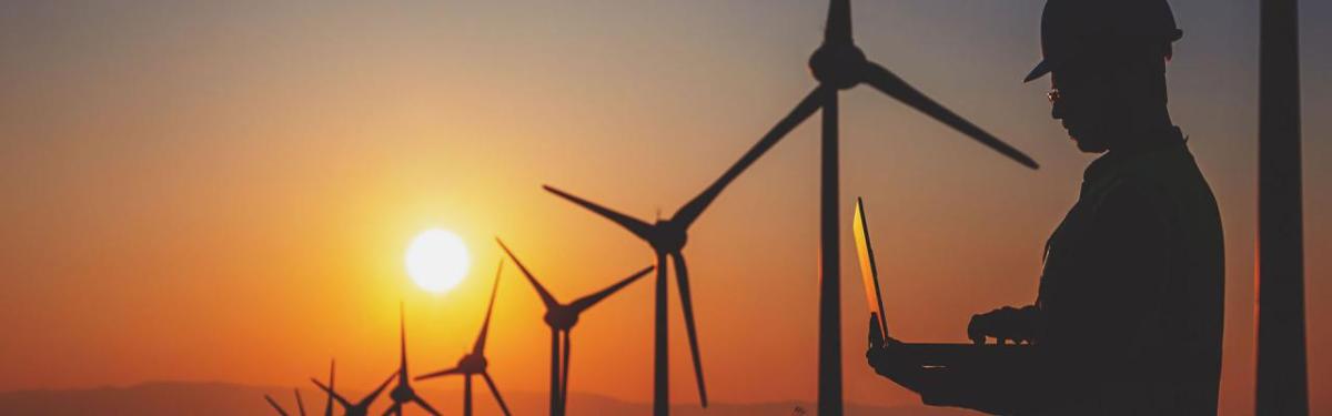 A person on a laptop, a row of wind turbines and a setting sun behind them.