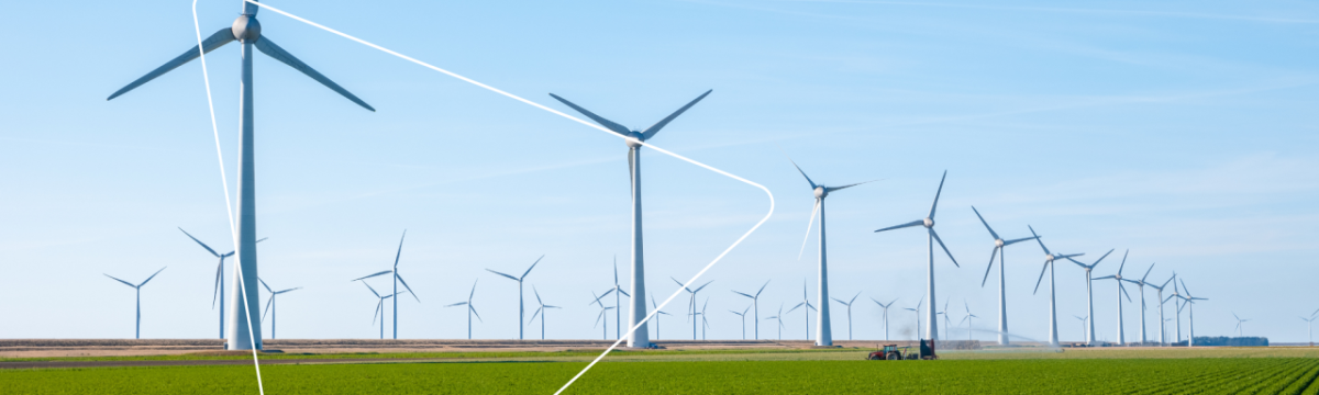 Rows of wind turbines in a large open field.