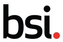 BSI Group logo