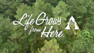 "Life Grows From Here" over an aerial view of a forest.