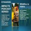 "Impacts Podcast Series. Wildfire in Idaho" A wildfire fighter walking away.