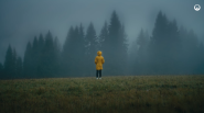 person standing in foggy field in yellow rain jacket