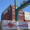 Shipping containers. One reads "Cherry Season 2024"